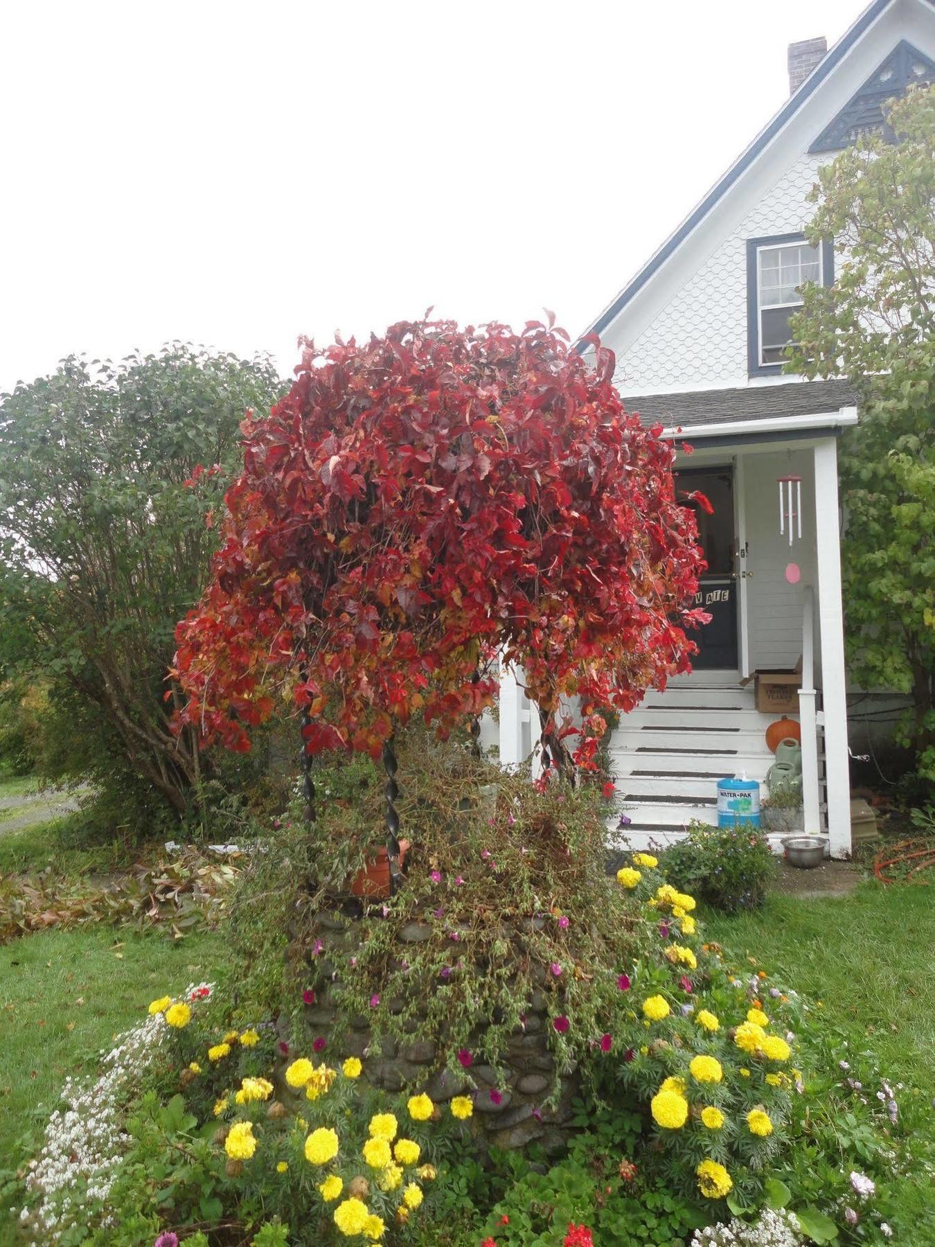 Hedley House Inn Smiths Cove Luaran gambar